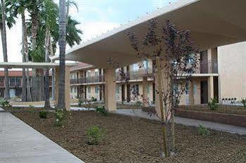Budget Lodge San Bernardino Extérieur photo